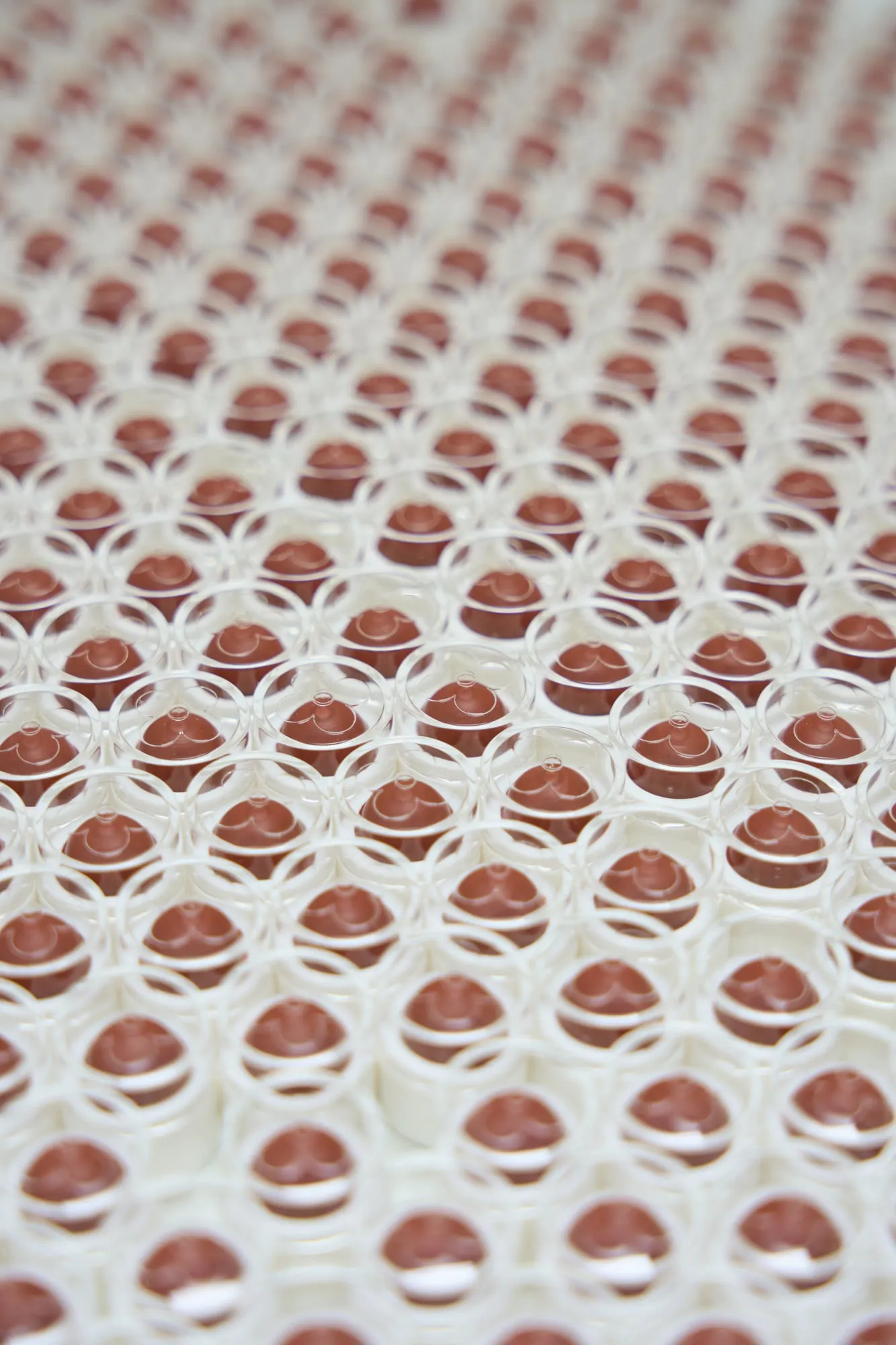 Échantillons de teinte rouge alignés dans des capsules transparentes